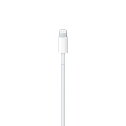 Câble iPhone Lightning vers USB-C Original (1m)